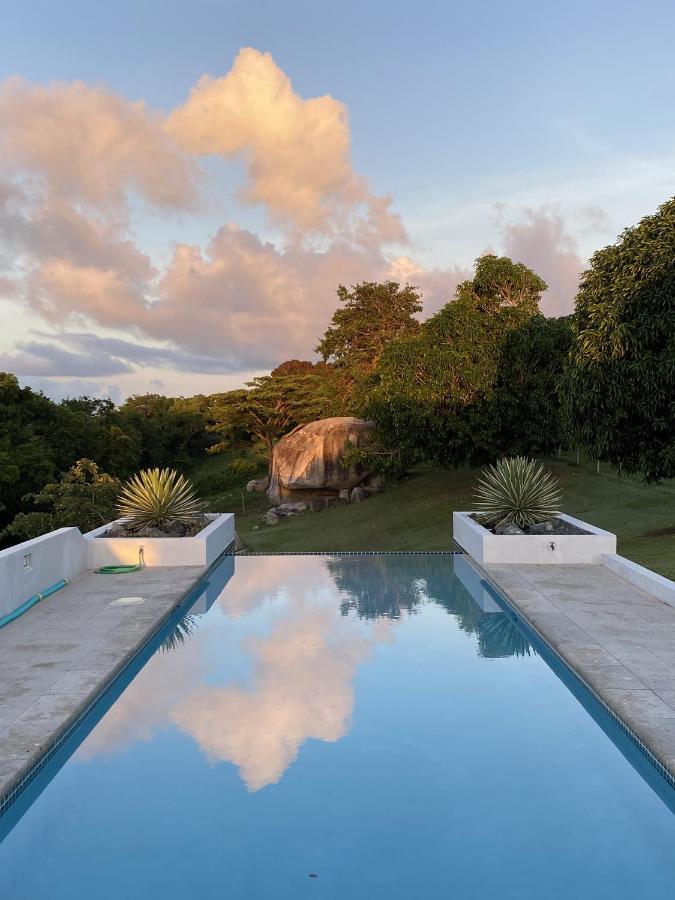فندق Lejos Eco Retreat بييكيس المظهر الخارجي الصورة